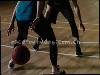 NBA篮板数据趋势图